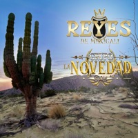 El Viajero (feat. Grupo La Novedad) - Single - Reyes De Mexicali