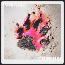Criminal OK!DYNAMITE & emxbrooks