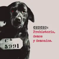 Magic — Chucho