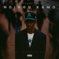 Khululeka (feat. Stereo Keys) - Single - Ndingu Kamo