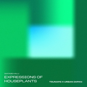 Expressions of Houseplants