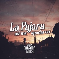 La Pajara Así Me Apodaron - Single - Grupo Misma Linea
