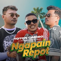 Ngapain Repot (feat. Wizz Baker & Fresly Nikijuluw) - Single - Toton Caribo
