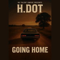 Going Home - Single - Nu Boi