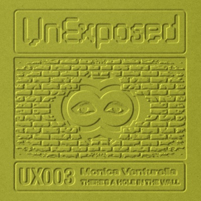 there's a hole in the wall... (feat. Monica Venturella) - Single