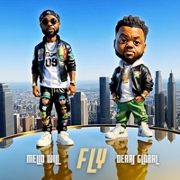 FLY - Single - Mello Will & Deraj Global