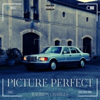 Picture Perfect - Single - Rahmun Charles