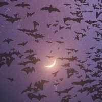 Ideas In My Head - Single - Maxx Kenif