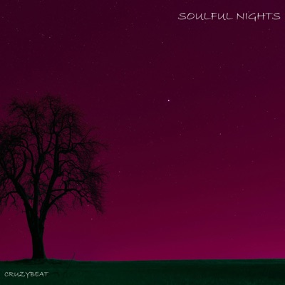 Soulful Nights - Single