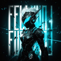 Fell Funk - Single - Punic