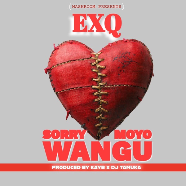 SORRY MOYO WANGU - Single
