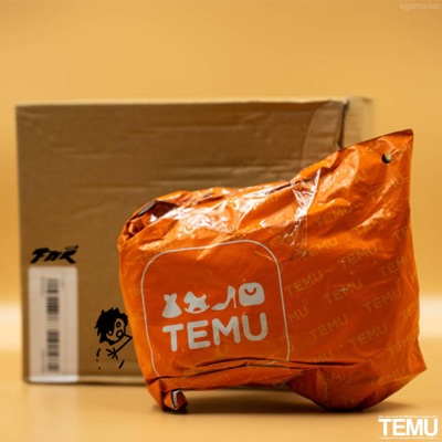TEMU - Single