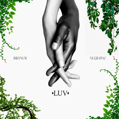 LUV (feat. Negrapaz) - Single