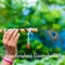 Shree Krishna Govinda Flute Music artwork