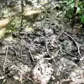 Mud