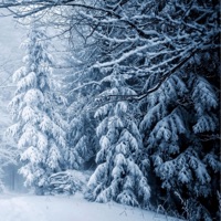 The Cold (feat. Planet Asia) - Single - Eric Leo 108