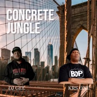 Concrete Jungle - Single - DJ Gee