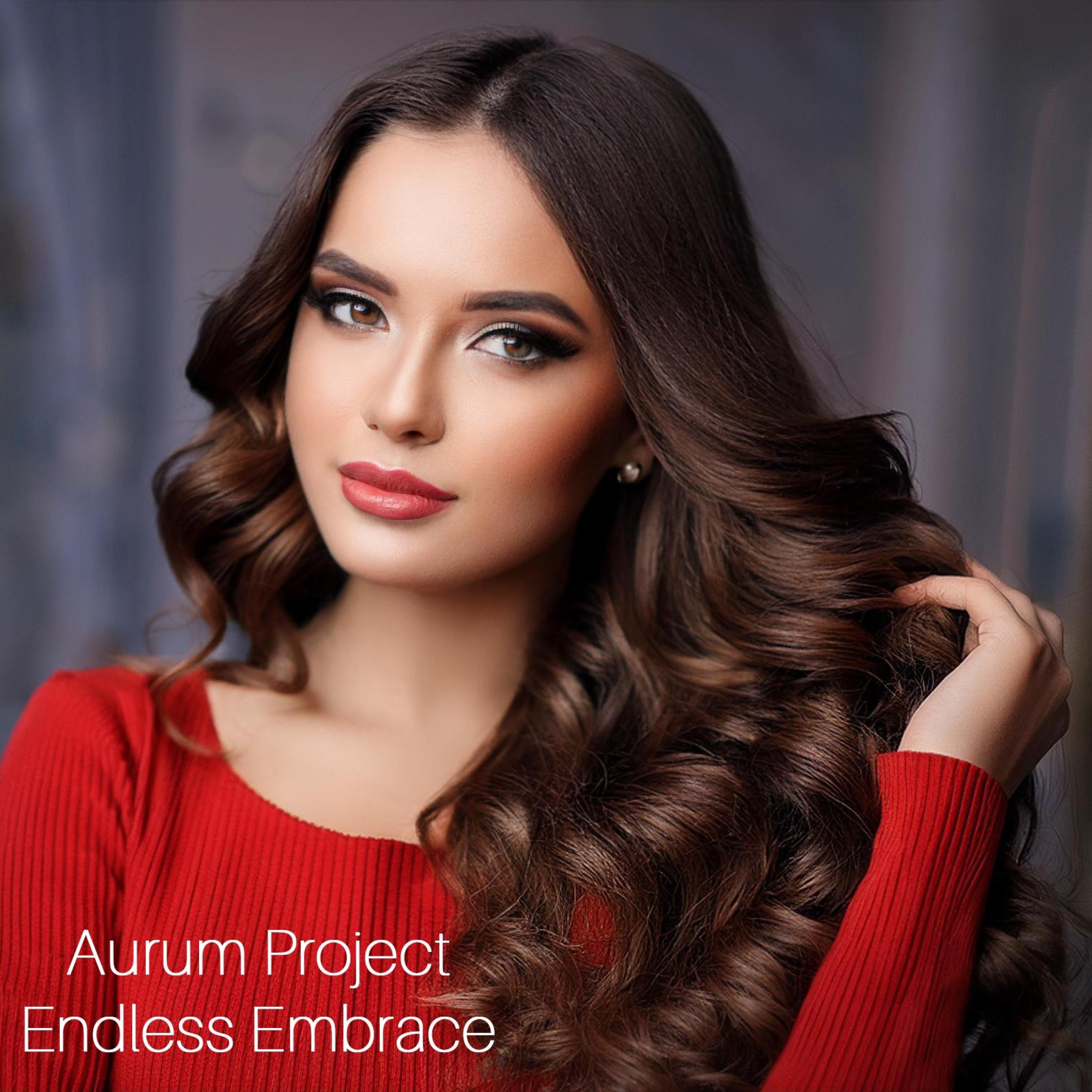 Endless Embrace - Single