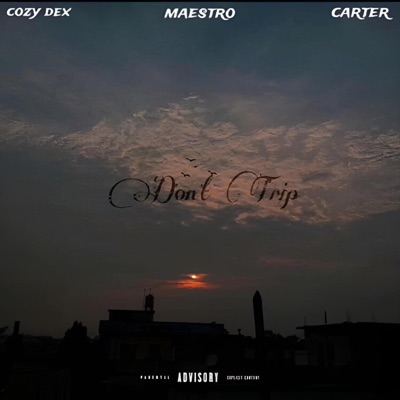 Don't Trip (feat. Cozy dex & Maestro) - Single