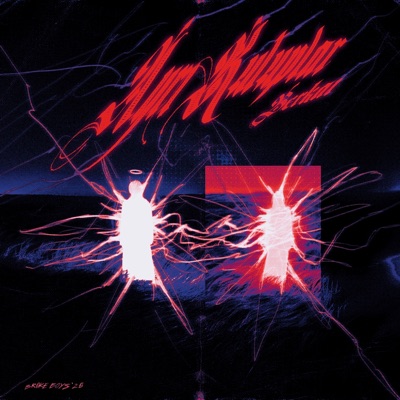 AYRI KUTUPLAR - Single