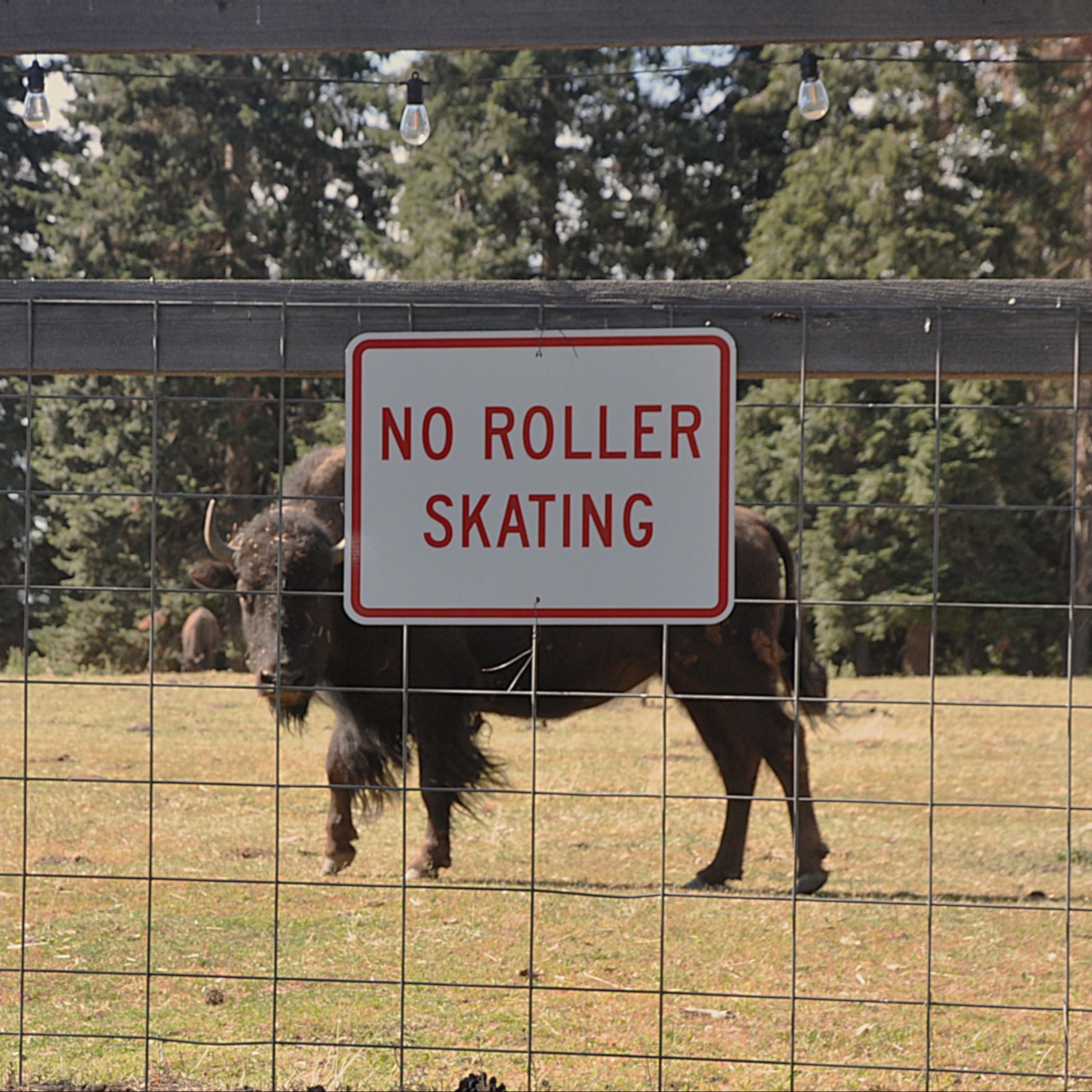 No Roller Skating