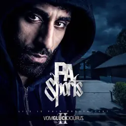 VOM GLÜCK ZURÜCK II album cover
