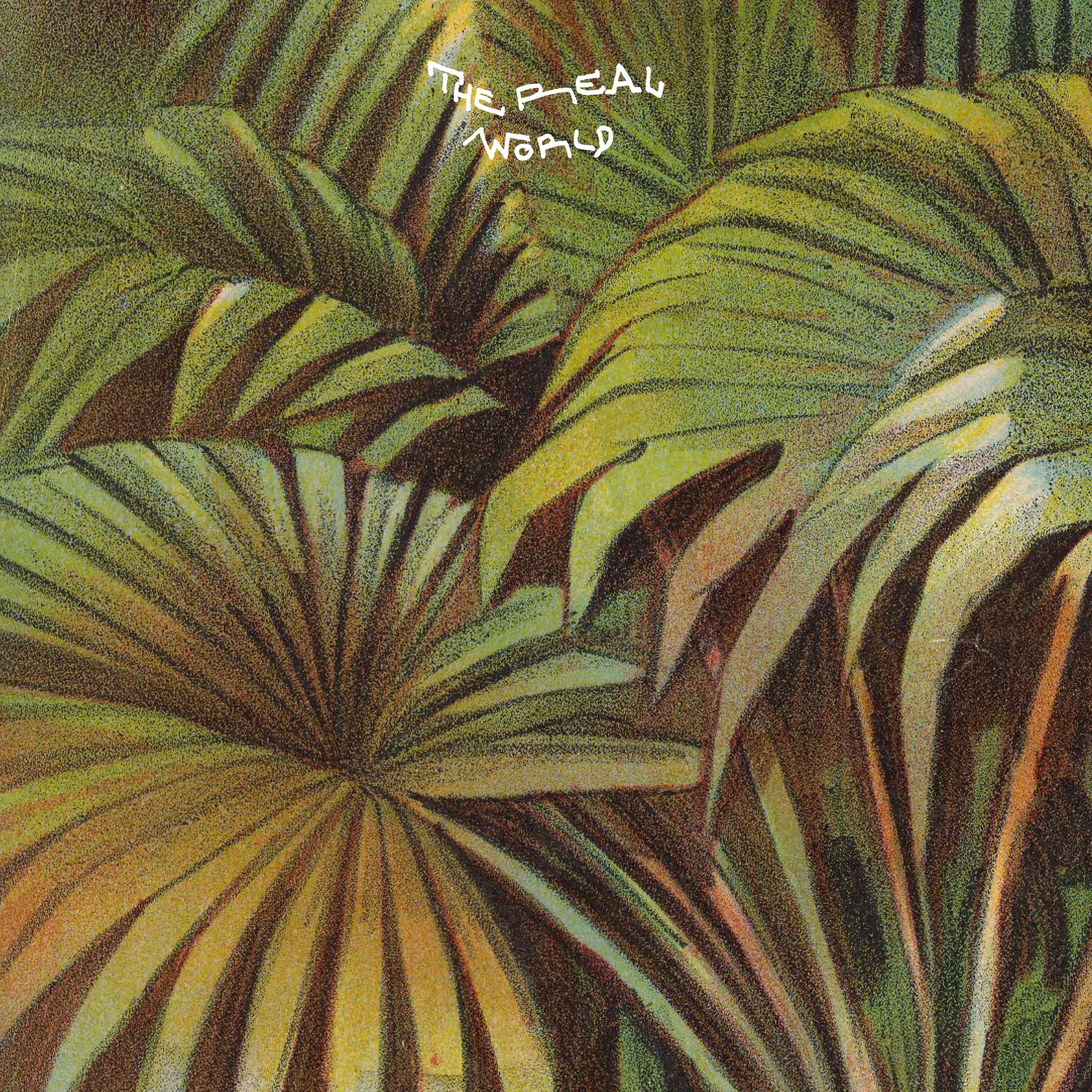 The Real World - Single