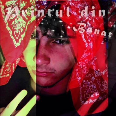 Prințul din Banat - Single