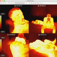 CAPSAICINA - Single - Eigen Risico