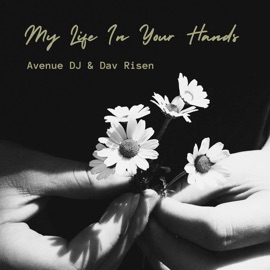 My Life in Your Hands Avenue DJ & Dav Risen
