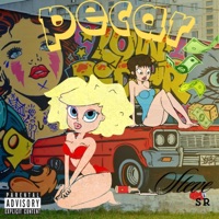 Pecar - Single - Steve SR