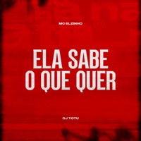 Ela Sabe O Que Quer - Single - Mc Elzinho & DJ Totu
