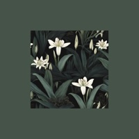 Maybe (Lovers Back to Friends) [On Guitar] - Single - Thomas Geelens