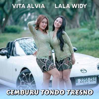 Cemburu Tondo Tresno - Single