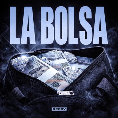 LA BOLSA (feat. Dosonek & SERRVH) - Single