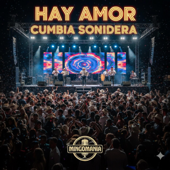 Hay Amor (Cumbia Sonidera) song art
