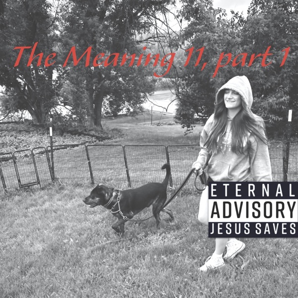 The Meaning 11, pt. 1