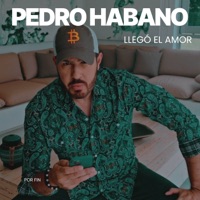Llego el Amor - Single - Pedro Habano