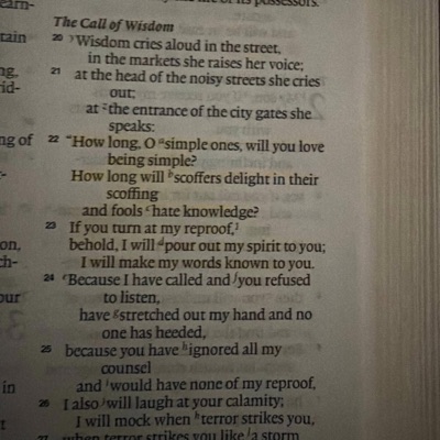 Proverbs 1:22 - Single