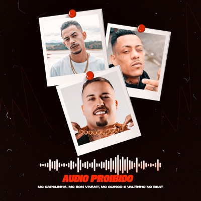 Audio Proibído (feat. Mc Capelinha) - Single