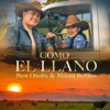 COMO EL LLANO