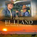 COMO EL LLANO