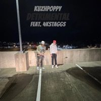 DETRIMENTAL (feat. 4kStaggs) - Single - KUZHPOPPY