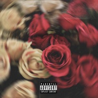 Your Worth - Single - K Da Kyd