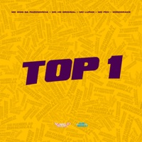 Top 1 - Single - MC Zoio Da Fazendinha, MC HS Original, MC Lupan & MC Feh