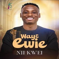 Wayɛ Ewie - Single - Nii Kwei