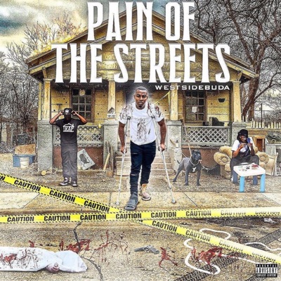 Pain Of The Streets