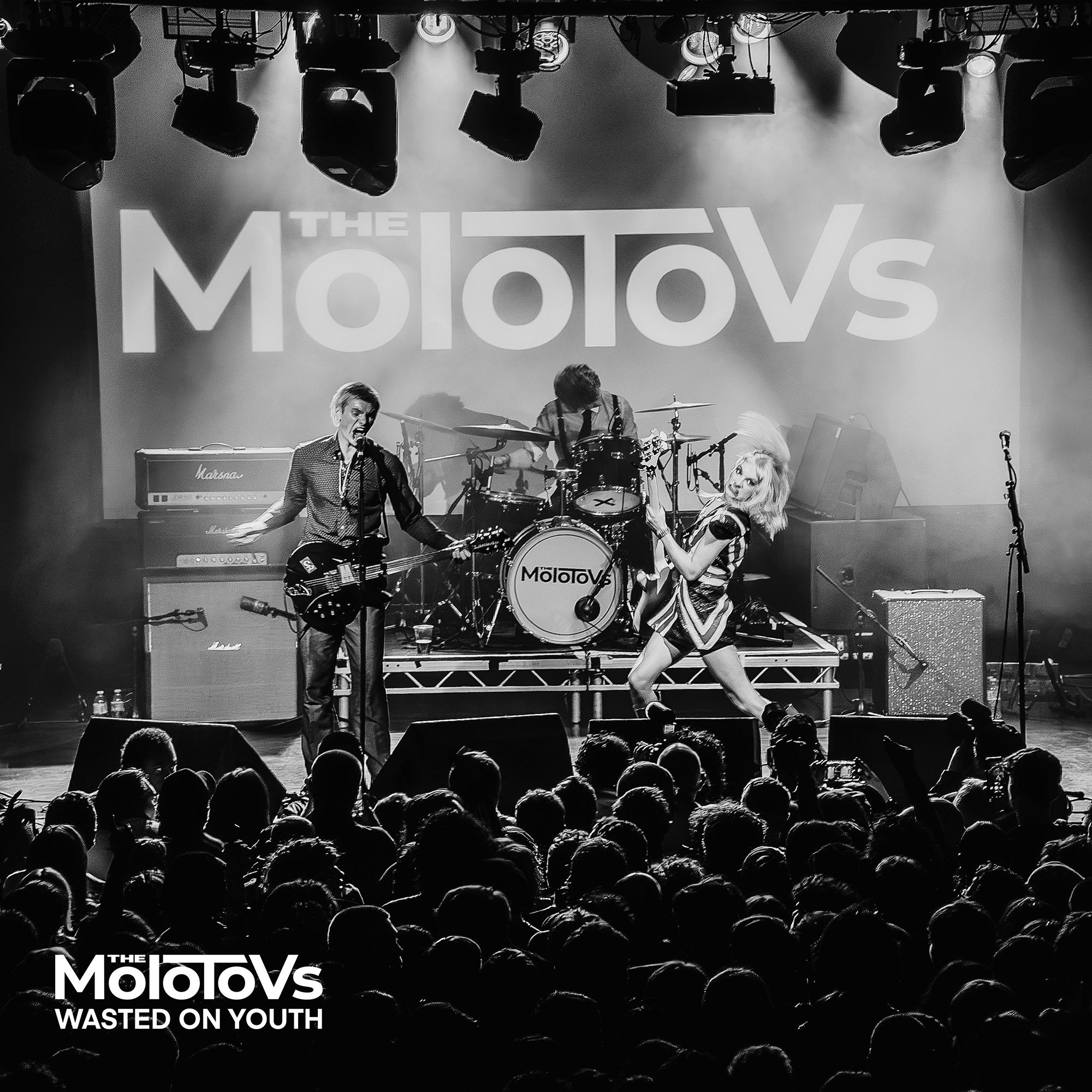 Wasted on Youth (Deluxe Version)