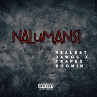 Nalumansi - Single - WIZ KADAYO