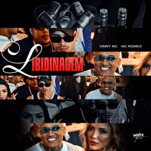 Libidinagem